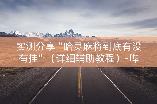 实测分享“哈灵麻将到底有没有挂”（详细辅助教程）-哔哩哔哩