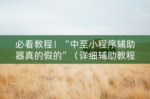 必看教程！“中至小程序辅助器真的假的”（详细辅助教程）-哔哩哔哩