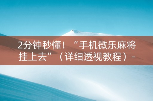 2分钟秒懂！“手机微乐麻将挂上去”（详细透视教程）-哔哩哔哩