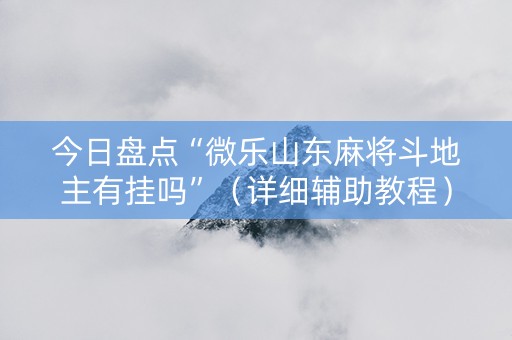 今日盘点“微乐山东麻将斗地主有挂吗”（详细辅助教程）-哔哩哔哩