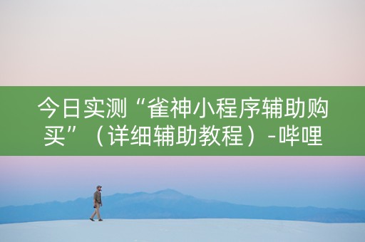 今日实测“雀神小程序辅助购买”（详细辅助教程）-哔哩哔哩