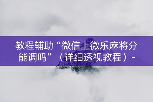 教程辅助“微信上微乐麻将分能调吗”（详细透视教程）-哔哩哔哩