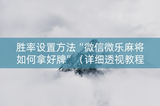胜率设置方法“微信微乐麻将如何拿好牌”（详细透视教程）-哔哩哔哩