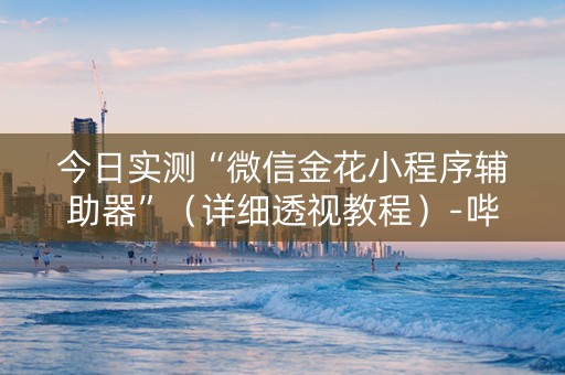 今日实测“微信金花小程序辅助器”（详细透视教程）-哔哩哔哩