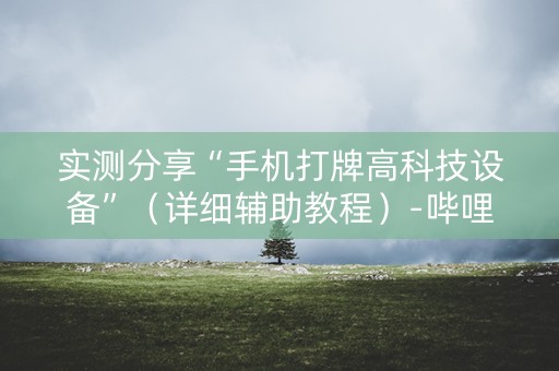 实测分享“手机打牌高科技设备”（详细辅助教程）-哔哩哔哩