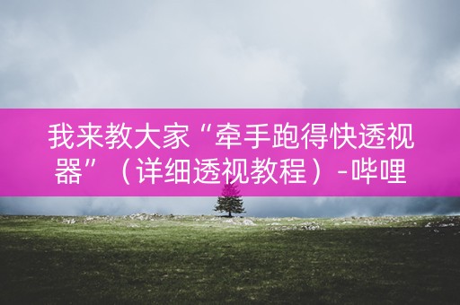 我来教大家“牵手跑得快透视器”（详细透视教程）-哔哩哔哩