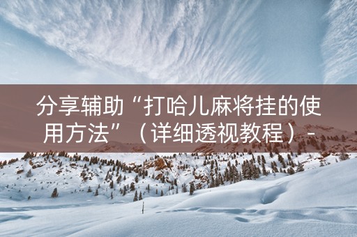分享辅助“打哈儿麻将挂的使用方法”（详细透视教程）-哔哩哔哩