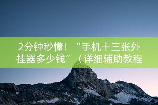 2分钟秒懂！“手机十三张外挂器多少钱”（详细辅助教程）-哔哩哔哩