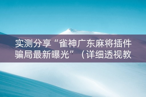 实测分享“雀神广东麻将插件骗局最新曝光”（详细透视教程）-哔哩哔哩