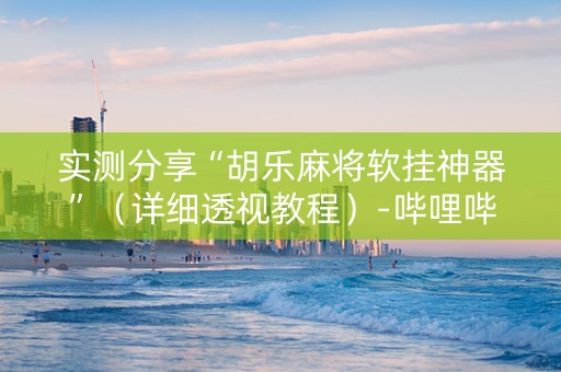 实测分享“胡乐麻将软挂神器”（详细透视教程）-哔哩哔哩
