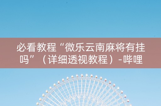 必看教程“微乐云南麻将有挂吗”（详细透视教程）-哔哩哔哩