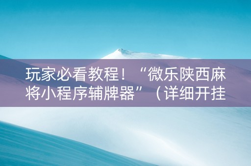 玩家必看教程！“微乐陕西麻将小程序辅牌器”（详细开挂教程）-哔哩哔哩