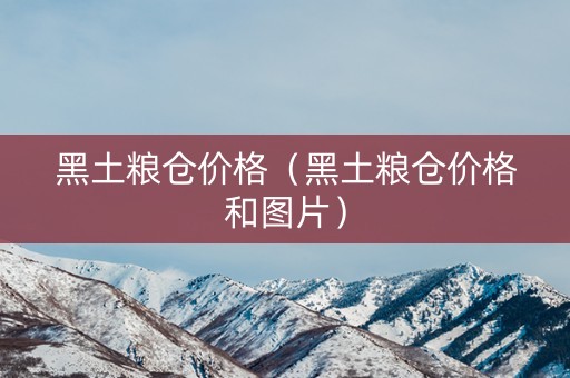 黑土粮仓价格（黑土粮仓价格和图片）