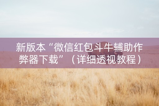 新版本“微信红包斗牛辅助作弊器下载”（详细透视教程）-哔哩哔哩