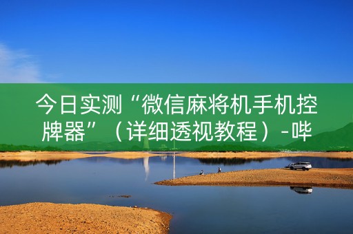 今日实测“微信麻将机手机控牌器”（详细透视教程）-哔哩哔哩
