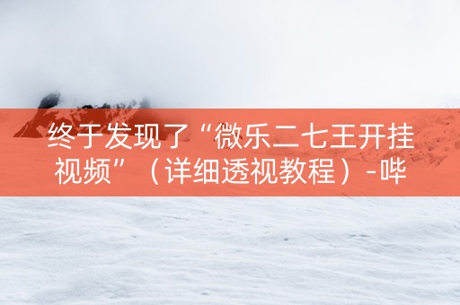 终于发现了“微乐二七王开挂视频”（详细透视教程）-哔哩哔哩