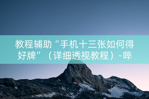 教程辅助“手机十三张如何得好牌”（详细透视教程）-哔哩哔哩