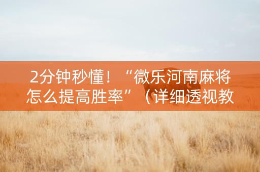 2分钟秒懂！“微乐河南麻将怎么提高胜率”（详细透视教程）-哔哩哔哩
