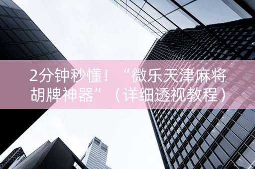 2分钟秒懂！“微乐天津麻将胡牌神器”（详细透视教程）-哔哩哔哩