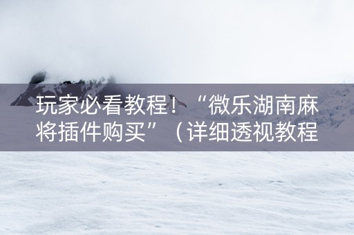 玩家必看教程！“微乐湖南麻将插件购买”（详细透视教程）-哔哩哔哩