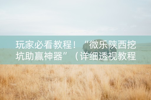 玩家必看教程！“微乐陕西挖坑助赢神器”（详细透视教程）-哔哩哔哩