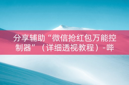分享辅助“微信抢红包万能控制器”（详细透视教程）-哔哩哔哩