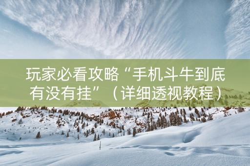 玩家必看攻略“手机斗牛到底有没有挂”（详细透视教程）-哔哩哔哩