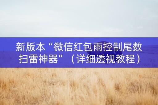 新版本“微信红包雨控制尾数扫雷神器”（详细透视教程）-哔哩哔哩