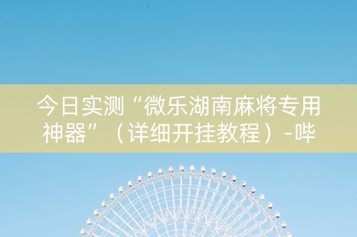 今日实测“微乐湖南麻将专用神器”（详细开挂教程）-哔哩哔哩