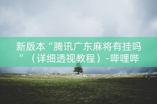 新版本“腾讯广东麻将有挂吗”（详细透视教程）-哔哩哔哩