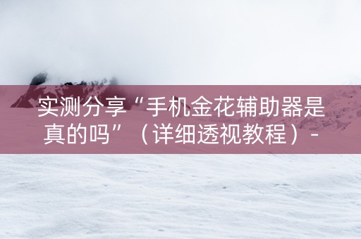 实测分享“手机金花辅助器是真的吗”（详细透视教程）-哔哩哔哩