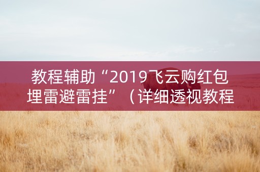 教程辅助“2019飞云购红包埋雷避雷挂”（详细透视教程）-哔哩哔哩