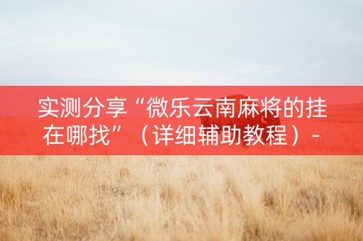 实测分享“微乐云南麻将的挂在哪找”（详细辅助教程）-哔哩哔哩