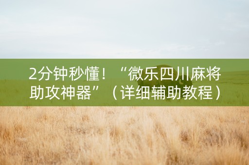 2分钟秒懂！“微乐四川麻将助攻神器”（详细辅助教程）-哔哩哔哩