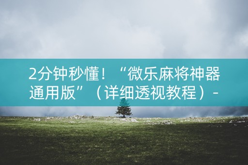 2分钟秒懂！“微乐麻将神器通用版”（详细透视教程）-哔哩哔哩