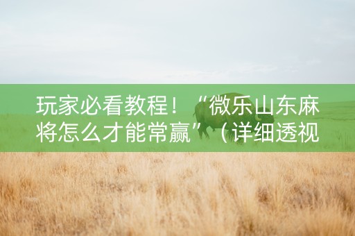 玩家必看教程！“微乐山东麻将怎么才能常赢”（详细透视教程）-哔哩哔哩