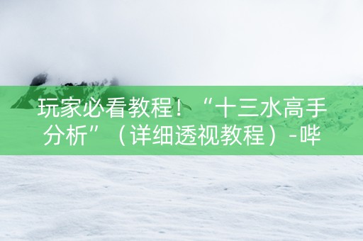 玩家必看教程！“十三水高手分析”（详细透视教程）-哔哩哔哩