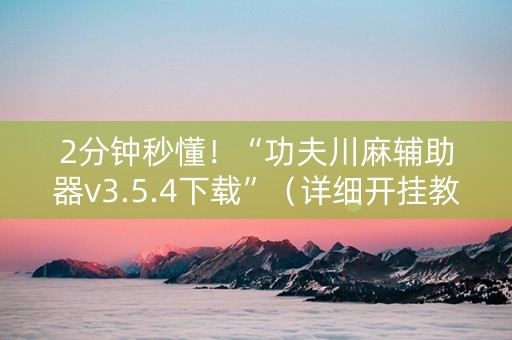 2分钟秒懂！“功夫川麻辅助器v3.5.4下载”（详细开挂教程）-哔哩哔哩
