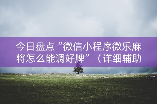 今日盘点“微信小程序微乐麻将怎么能调好牌”（详细辅助教程）-哔哩哔哩