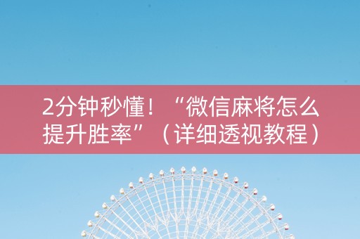 2分钟秒懂！“微信麻将怎么提升胜率”（详细透视教程）-哔哩哔哩