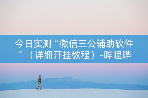 今日实测“微信三公辅助软件”（详细开挂教程）-哔哩哔哩