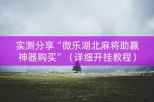 实测分享“微乐湖北麻将助赢神器购买”（详细开挂教程）-哔哩哔哩