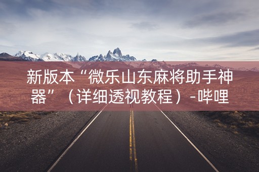 新版本“微乐山东麻将助手神器”（详细透视教程）-哔哩哔哩