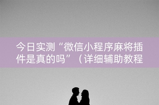 今日实测“微信小程序麻将插件是真的吗”（详细辅助教程）-哔哩哔哩
