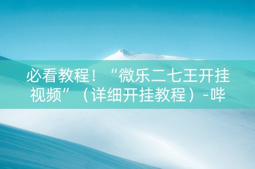 必看教程！“微乐二七王开挂视频”（详细开挂教程）-哔哩哔哩