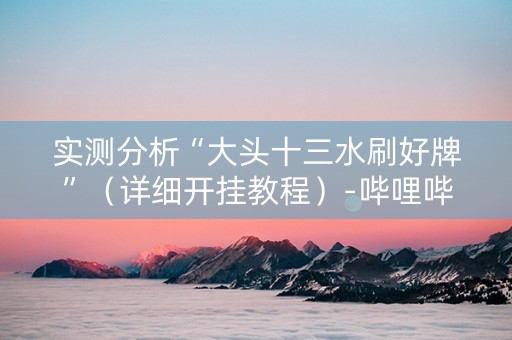 实测分析“大头十三水刷好牌”（详细开挂教程）-哔哩哔哩