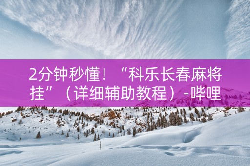 2分钟秒懂！“科乐长春麻将挂”（详细辅助教程）-哔哩哔哩