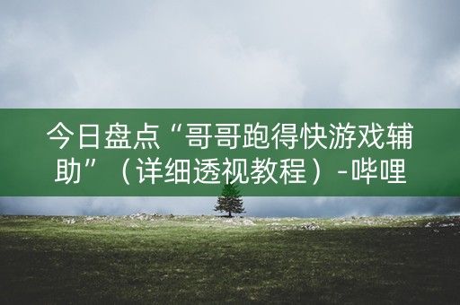 今日盘点“哥哥跑得快游戏辅助”（详细透视教程）-哔哩哔哩