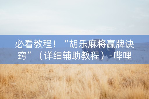 必看教程！“胡乐麻将赢牌诀窍”（详细辅助教程）-哔哩哔哩