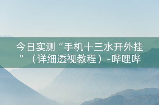 今日实测“手机十三水开外挂”（详细透视教程）-哔哩哔哩